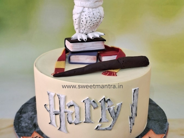 Harry Potter fondant cake for son
